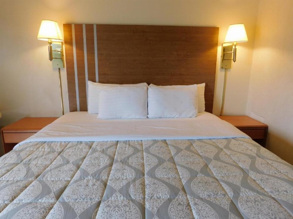 Drifter Motel image 8